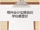 梧州会计实操培训学校哪里好