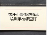 宿迁中医传统师承培训学校哪里好