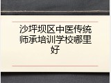 沙坪坝区中医传统师承培训学校哪里好