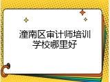 潼南区审计师培训学校哪里好