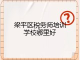 梁平区税务师培训学校哪里好