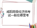 咸阳高级经济师考试一般在哪里考