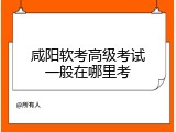 咸阳软考高级考试一般在哪里考