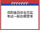 洛阳食品安全总监考试一般在哪里考