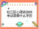 松江区心理咨询师考试需要什么学历