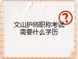 文山护师职称考试需要什么学历