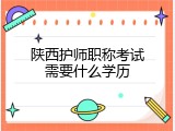 陕西护师职称考试需要什么学历