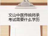 文山中医传统师承考试需要什么学历