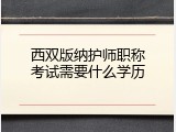 西双版纳护师职称考试需要什么学历