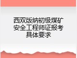 西双版纳初级煤矿安全工程师证报考具体要求
