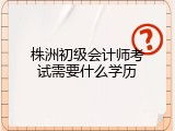 株洲初级会计师考试需要什么学历