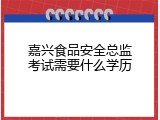 嘉兴食品安全总监考试需要什么学历