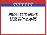 涪陵区软考高级考试需要什么学历