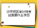 沙坪坝区审计师考试需要什么学历