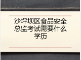沙坪坝区食品安全总监考试需要什么学历