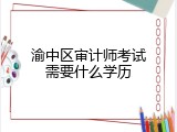 渝中区审计师考试需要什么学历