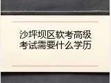 沙坪坝区软考高级考试需要什么学历