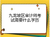 九龙坡区审计师考试需要什么学历