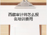西藏审计师怎么报名培训费用