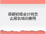 昌都初级会计师怎么报名培训费用