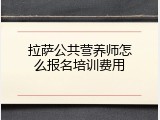 拉萨公共营养师怎么报名培训费用
