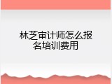 林芝审计师怎么报名培训费用
