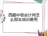 西藏中级会计师怎么报名培训费用