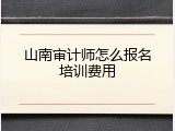 山南审计师怎么报名培训费用