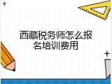 西藏税务师怎么报名培训费用