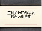 玉树护师职称怎么报名培训费用
