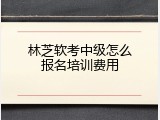 林芝软考中级怎么报名培训费用