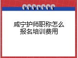 咸宁护师职称怎么报名培训费用
