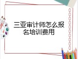 三亚审计师怎么报名培训费用