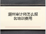 潮州审计师怎么报名培训费用
