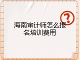 海南审计师怎么报名培训费用
