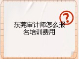 东莞审计师怎么报名培训费用