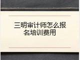 三明审计师怎么报名培训费用