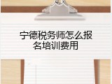 宁德税务师怎么报名培训费用