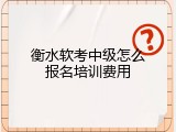 衡水软考中级怎么报名培训费用