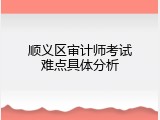 顺义区审计师考试难点具体分析