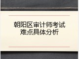 朝阳区审计师考试难点具体分析