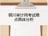 铜川审计师考试难点具体分析