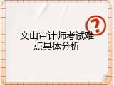 文山审计师考试难点具体分析