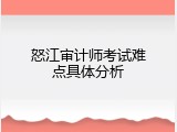 怒江审计师考试难点具体分析