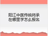 阳江中医传统师承在哪里学怎么报名