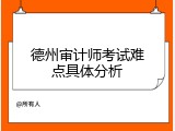 德州审计师考试难点具体分析