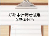 郑州审计师考试难点具体分析