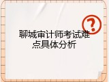 聊城审计师考试难点具体分析