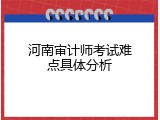 河南审计师考试难点具体分析