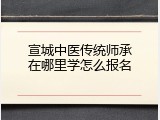 宣城中医传统师承在哪里学怎么报名